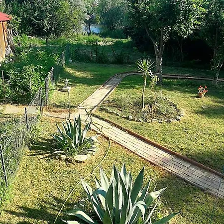 Hotel Mioara Parter 3*