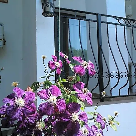 Mioara Parter Hotel Constanţa
