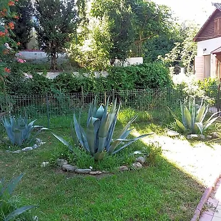 Mioara Parter Hotel