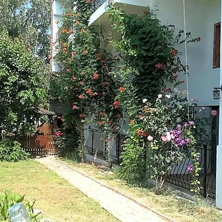 Mioara Parter Hotel Constanţa