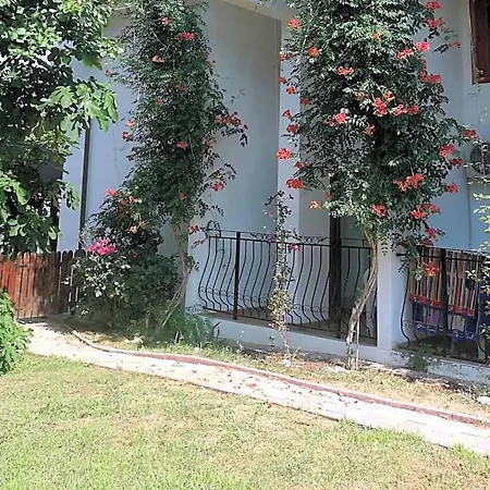 Hotel Mioara Parter