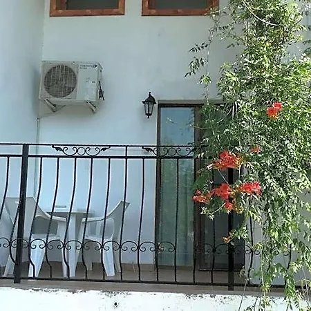 Mioara Parter