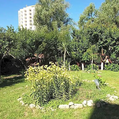 Mioara Parter Hotel